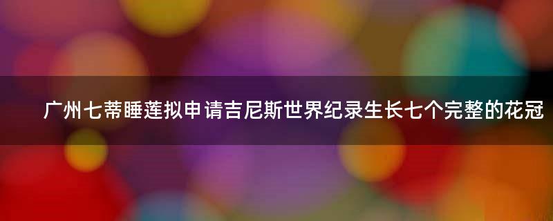 广州七蒂睡莲拟申请吉尼斯世界纪录 生长七个完整的花冠